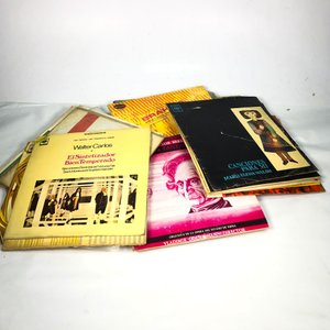 Lote de Discos de Vinilo de Música Variada - imagen 1