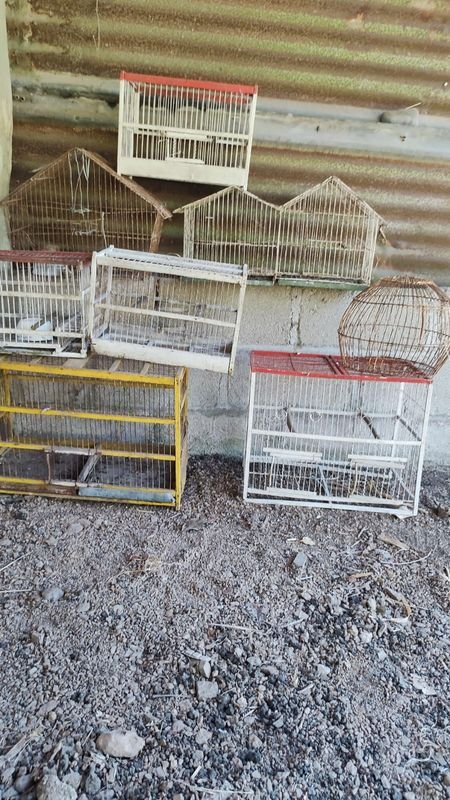 Item 869947 - Image 0