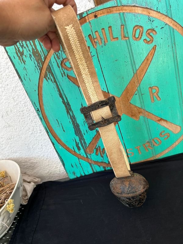 Cencerro Helvético de Chapa con Hebilla Original - imagen 6