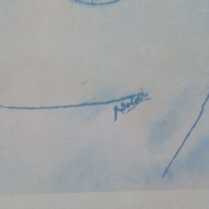 Lamina de Raúl soldi -25*36 - imagen 2