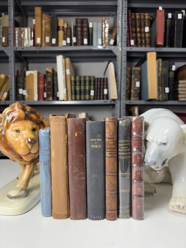 Item 889647 - Image 0