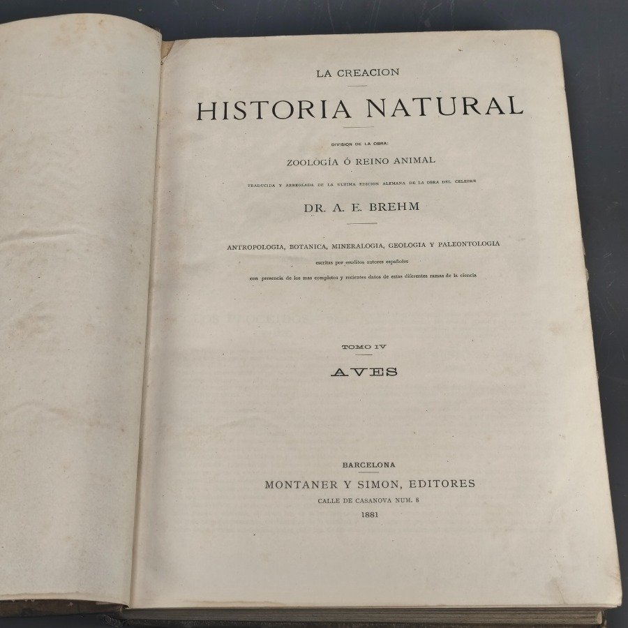 Libro antiguo de historia natural con encuadernación en cuero - imagen 13