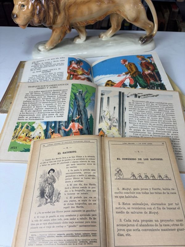 Colección de Libros Educativos Ilustrados - imagen 4