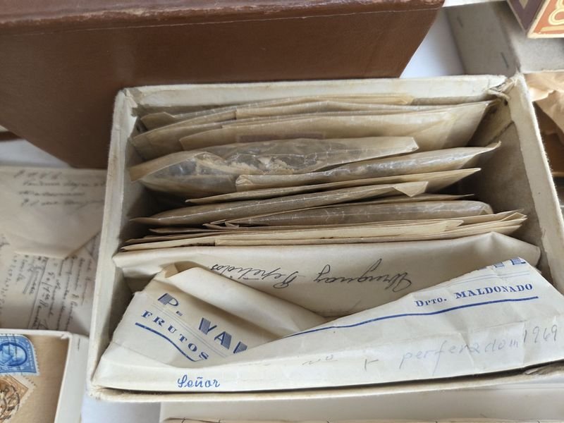 Item 872044 - Image 5