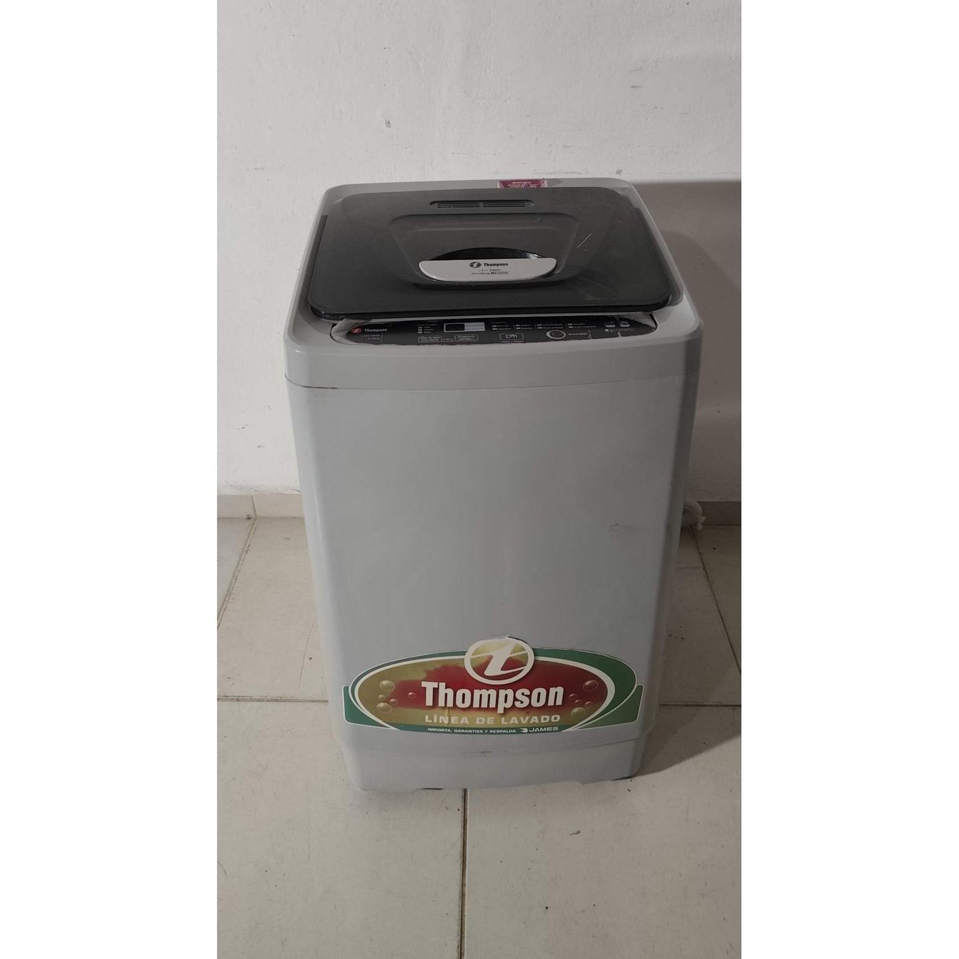 Lavarropas Carga Superior Thompson LTH 7005 Gris Funciona