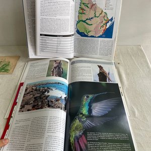 Aves del Uruguay: El País de los Pájaros Pintados - Colección Completa - imagen 4