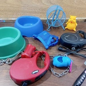 Lote Variado de Accesorios para Mascotas: Comederos, Correas y Rueda - imagen 6