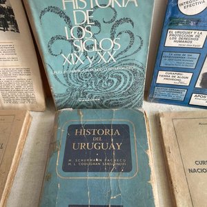 Lote de Libros de Historia Nacional y del Uruguay - imagen 3