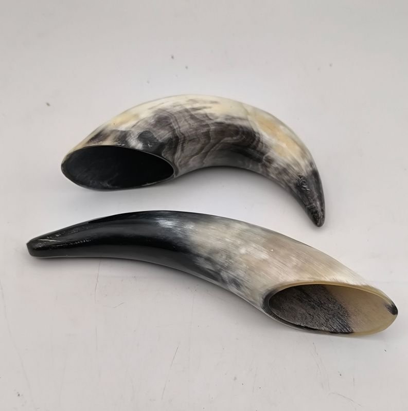 Lote siguiente: PAR DE CUERNOS NATURALES PULIDOS - Túsculos de elefante