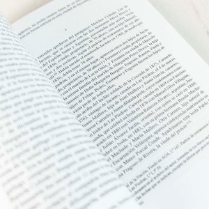 El Libro de los Linajes, Tomo 4, por Ricardo Goldaracena - imagen 2
