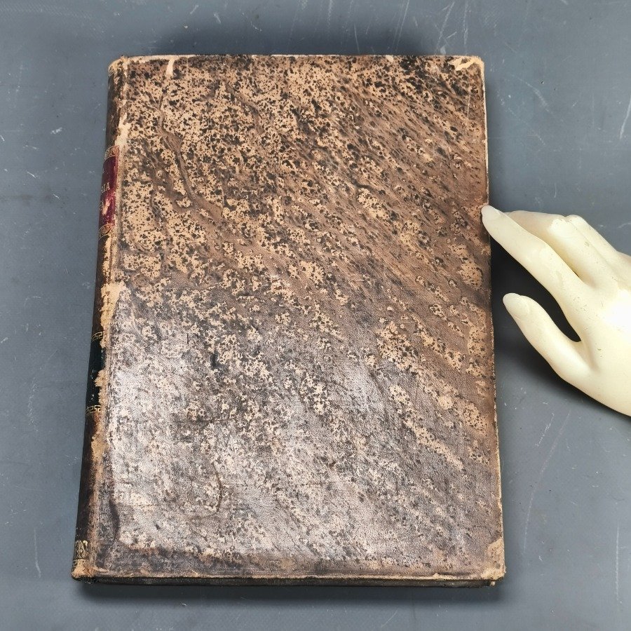 Libro antiguo de historia natural con encuadernación en cuero - imagen 11