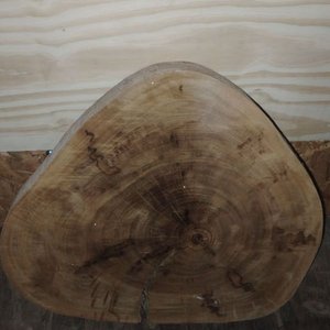 Lote siguiente: Tapa de Tronco de Madera para Mesa o Superficie