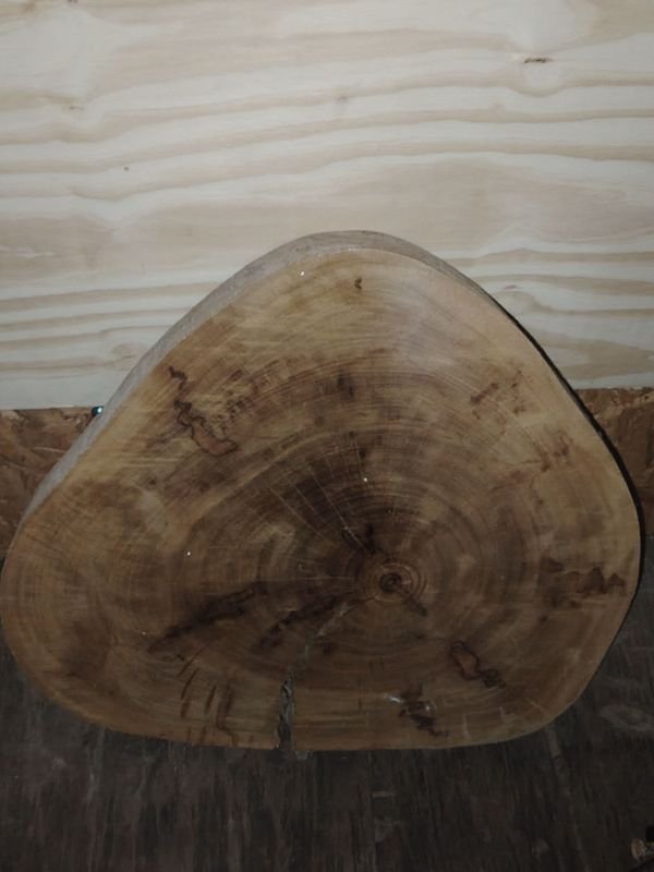 Tapa de Tronco de Madera para Mesa o Superficie