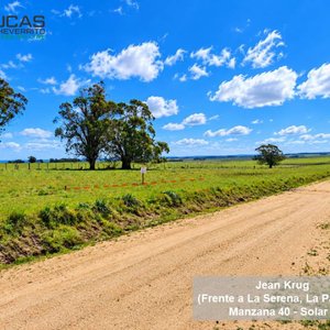 Terreno 500 m² en La Paloma, Rocha: Limpio, Arbolado y Listo para Construir - imagen 3