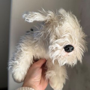 Peluche Perro Raza Bobtail - imagen 1