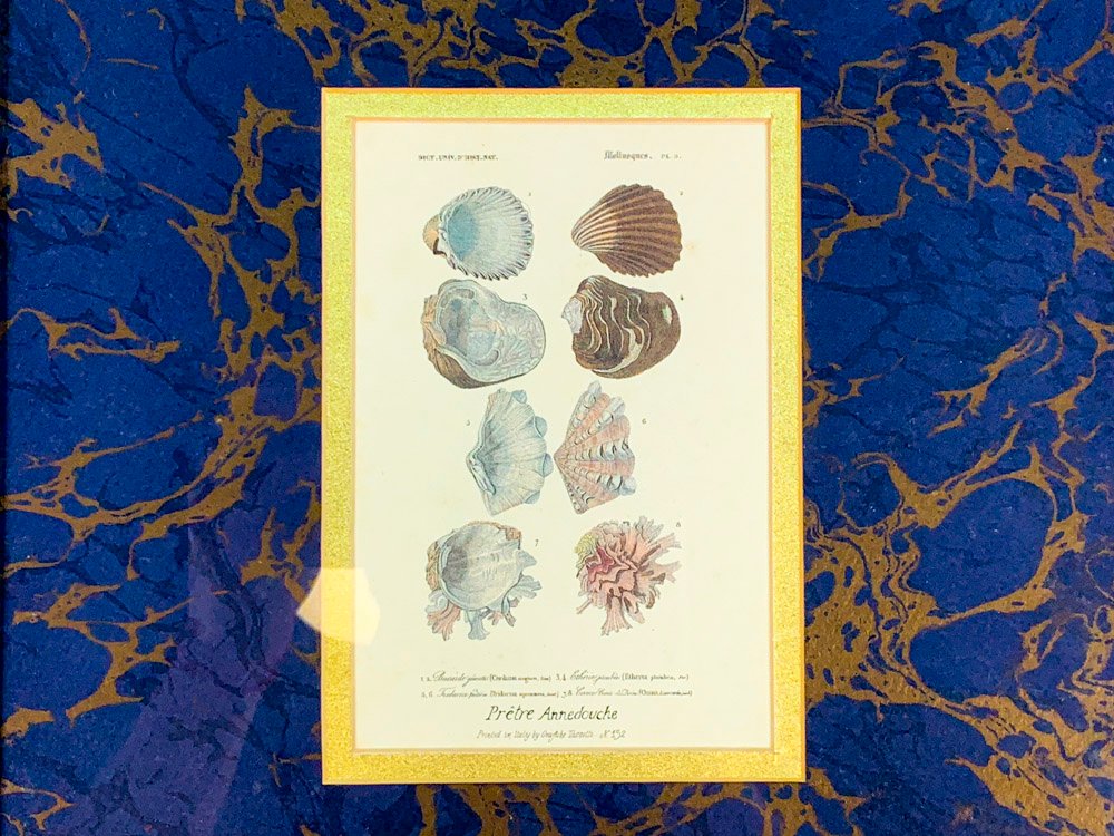 Item 494883 - Image 1