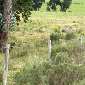 3 Fracciones de Campo en Capilla de Cella - imagen 6