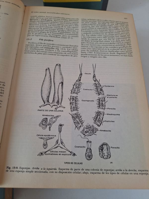 Libros de Biología y diccionarios en venta - imagen 5