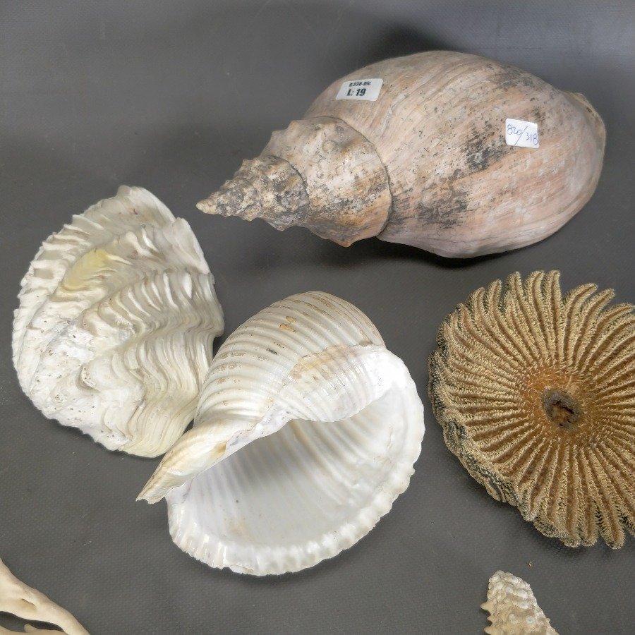 Item 15836 - Image 6