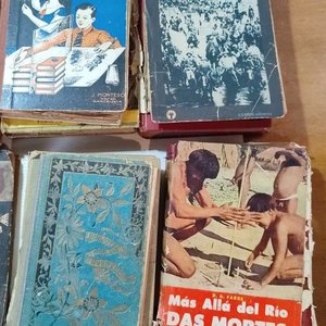 Lote de Libros de Estudio, Colecciones y Textos Varios - imagen 15
