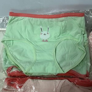 Lote de 20 Bombachas de Algodón para Niñas, Varios Diseños y Colores - imagen 4