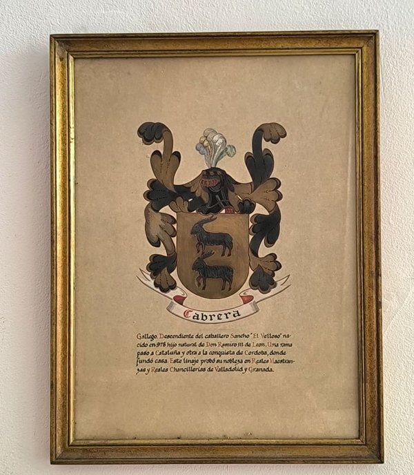 CUADRO HERÁLDICO DEL LINAJE CABRERA-ESCUDO DE ARMAS Y GENEALOGÍA - imagen 1