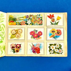 Álbum de Figuritas "Vida y Color" - Ciencias Naturales y Antropología - imagen 3