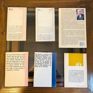 Lote de Libros Uruguayos: Onetti, Di Candia, Amorín y más - imagen 2