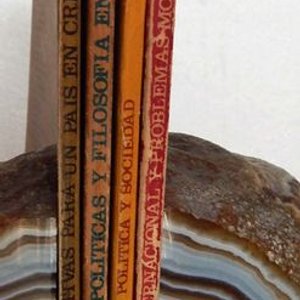 Colección Nuestra Tierra: 4 Libros sobre Economía, Política y Sociedad Uruguaya - imagen 3