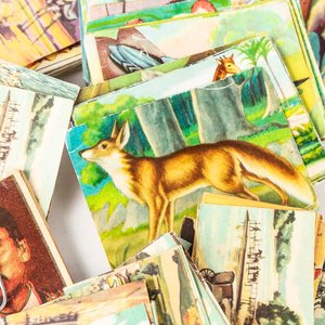 Lote de Figuritas Varias de Álbumes Antiguos - imagen 2