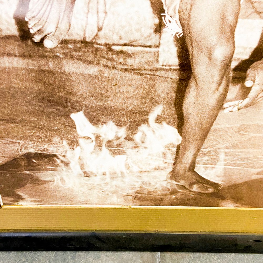 Foto ganadora en la exposición palacio costanzi en trieste (italia) - imagen 3