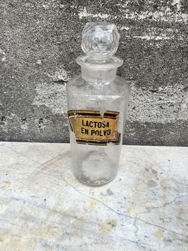 Lote anterior: Botella de lactosa en polvo para venta