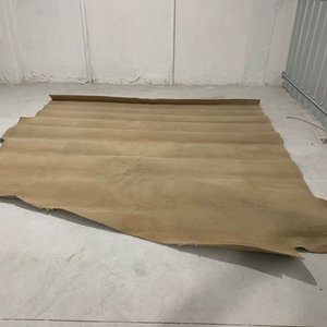 Dos Alfombras Beige Claro 4x4 Metros - imagen 2