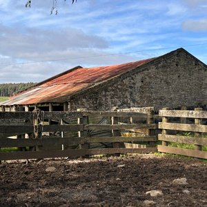 Lote de Campo con Galpones y Casa Principal - imagen 17