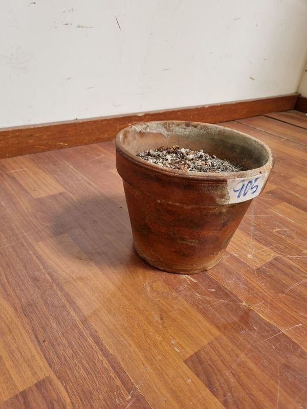 Macetas de barro para decoración - imagen 3