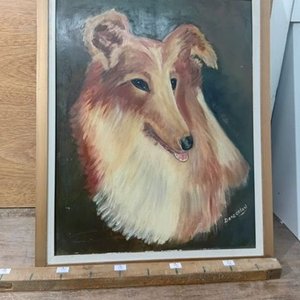 Cuadro "Collie" o "Lassie" de Dora Cetani - Arte Original - imagen 2