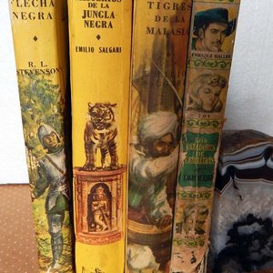 Lote de 4 Libros Clásicos de Aventuras: Stevenson, Salgari y Mayne Reid - imagen 3