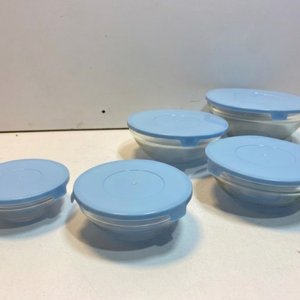 Lote anterior: Set de 5 Bowls de Vidrio con Tapas Plásticas Celestes