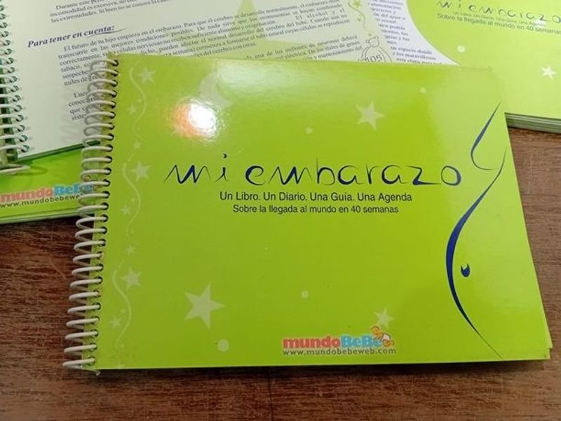 Lote anterior: Lotes de agendas para embarazadas y bebés