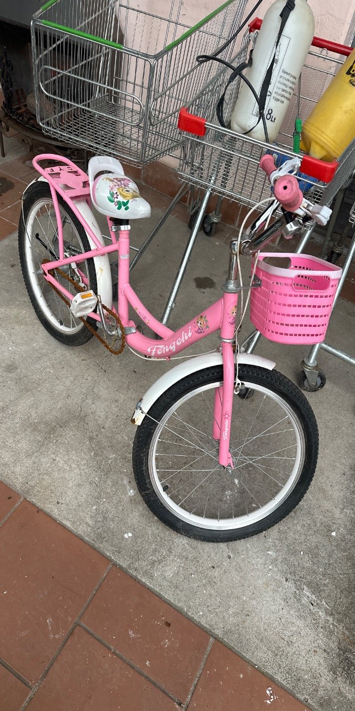 Bici 20