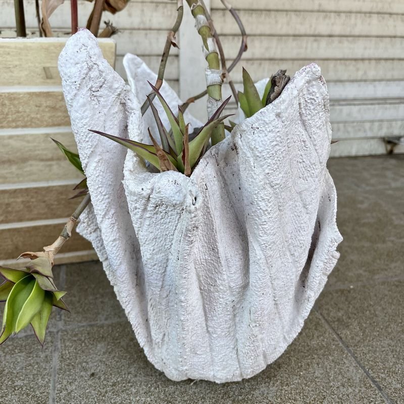 Item 895315 - Image 2