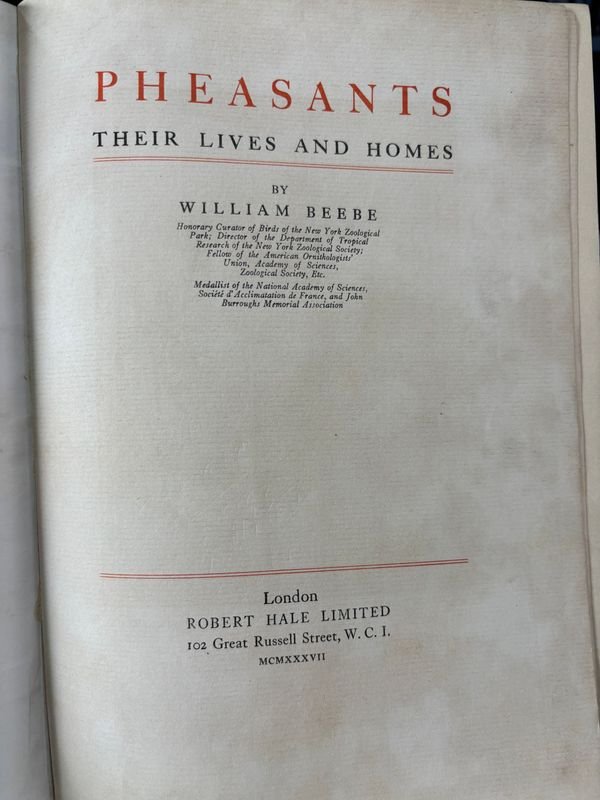 Item 879311 - Image 3