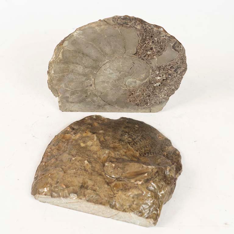 Item 2105700 - Image 1