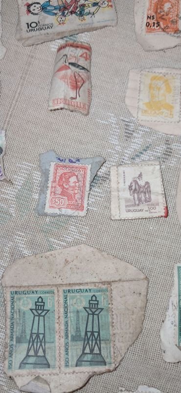 Item 880833 - Image 12