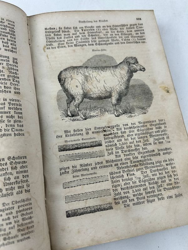 Item 924176 - Image 2