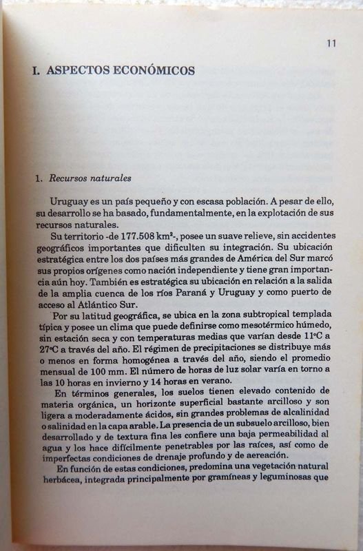 Introducción Al Uruguay De Los 90: Una guía completa - imagen 4