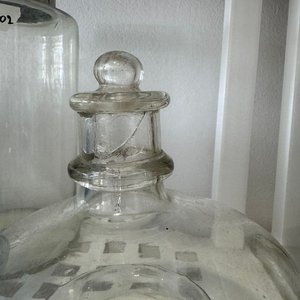 Atrapamoscas de Vidrio Transparente con Tapa Reparada - imagen 2