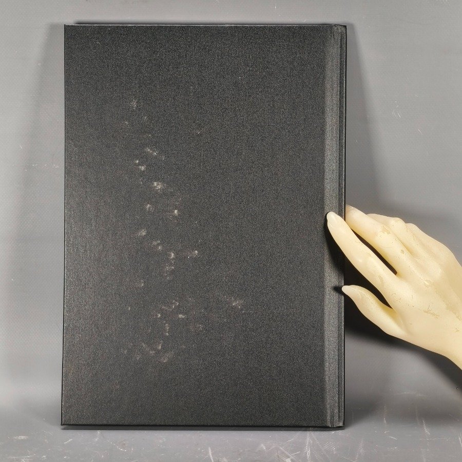 Item 18613 - Image 5