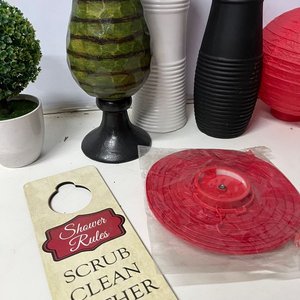 Lote de 6 Floreros, Arbusto Decorativo, 2 Globos de Papel y Cartel "Shower Rules" - imagen 8