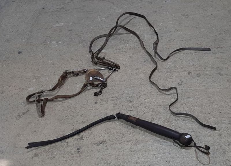 Cadena, cinturón y cable en acero inoxidable - imagen 1